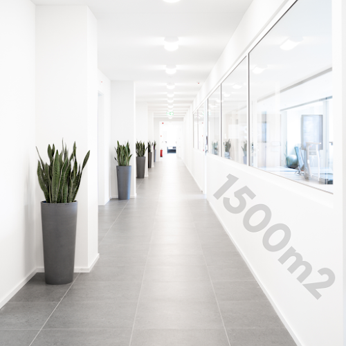 Progetto Salute - Sant'Antonino - Bellinzona