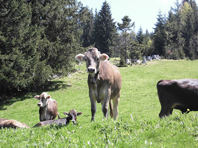 Photos of Berghof Riesen, Familie Schindele