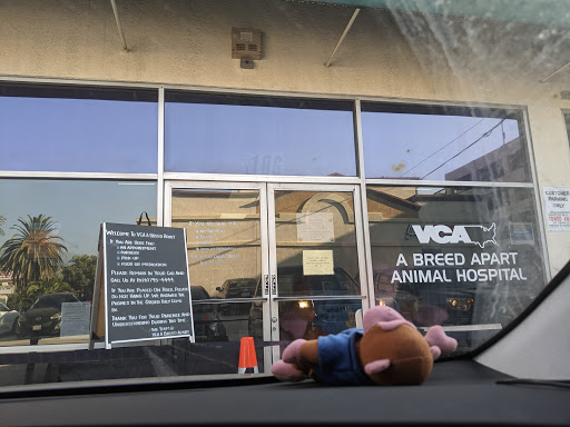 VCA A Breed Apart Animal Hospital - Thumbnail
