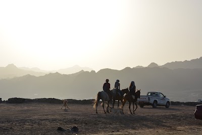 Photos of Sand Beach Camp