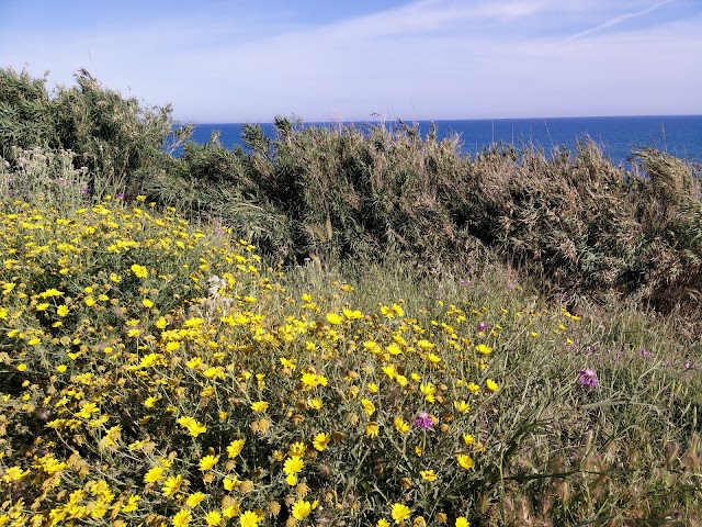 Selinunte Castelovetrano Via delle Pineta