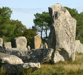 Photo n°4 de LN Services à Carnac (Menuisier)