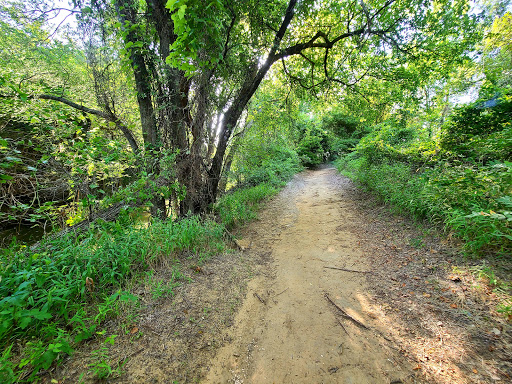 Chisenhall Fields - Thumbnail
