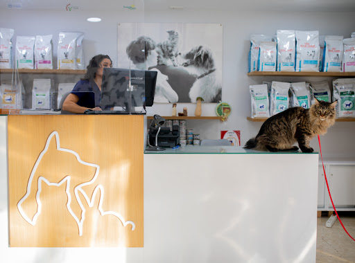 Clínica Veterinaria Santa Rosa - Thumbnail