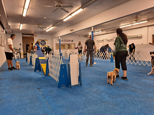 Canine Academy, LLC - Thumbnail
