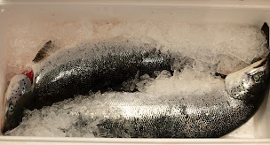 Photo n°17 de Zen Sushi 68 à Rouffach (Restaurant de sushis)