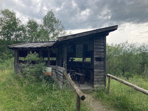 Vogelbeoachtungsstation Halblech - Thumbnail