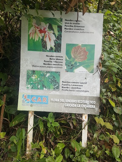 Photos of Sendero Ecol&oacute;gico Salto La Chorrera