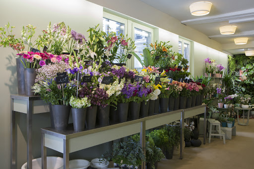 Petite Fleur Besançon | Fleuriste Besançon