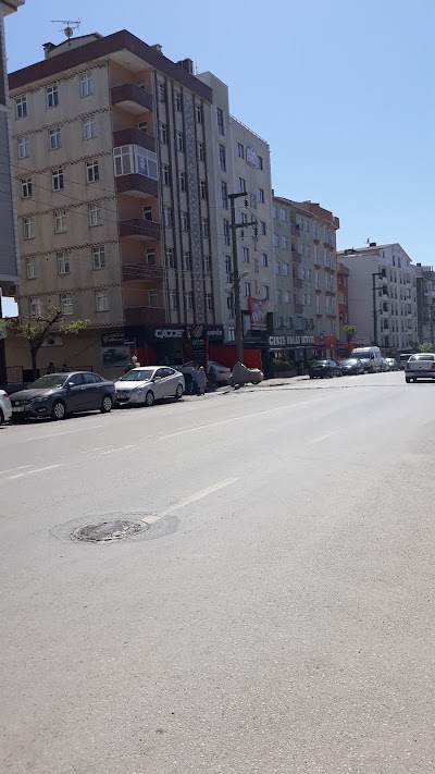 Photos of GEBZE PALAS HOTEL