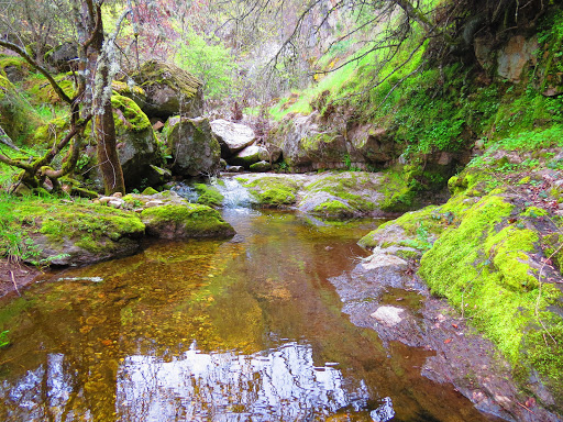 Los Churriones Waterfall Gallery - Spain