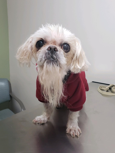 Dexter Animal Clinic - Thumbnail