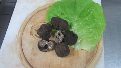 Photos of Ristorante Il Forchettone Di Mercurio A. & C.