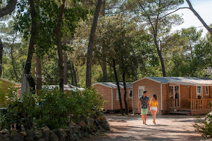 Photo n°12 de Camping Homair - Domaine de la Sainte Baume à Nans-les-Pins (Piscine)