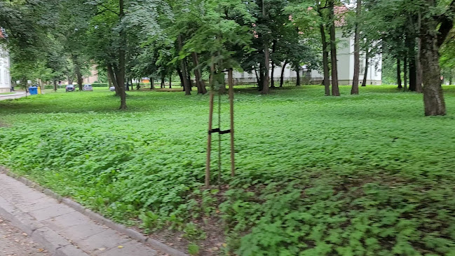 https://babinski.pl/