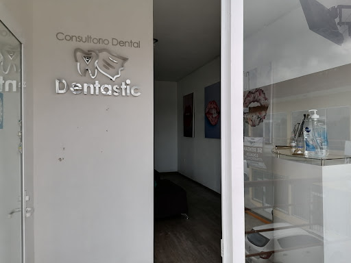Dentastic - Visual
