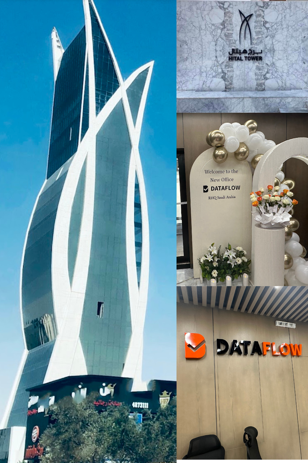 هسل ان فلو - صورة 3