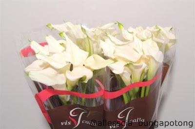 Photos of Allesscia Bunga Potong Bali
