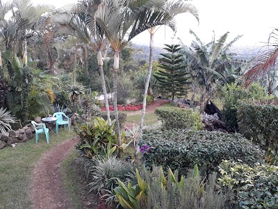 Photos of Loma Tranquila