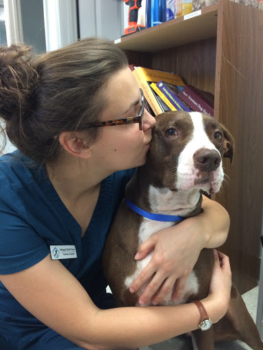 Access Veterinary Care