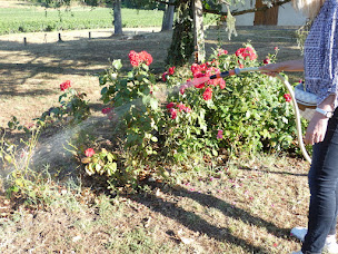 Photo n°15 de Castilab à Castillon-la-Bataille (Association ou organisation)