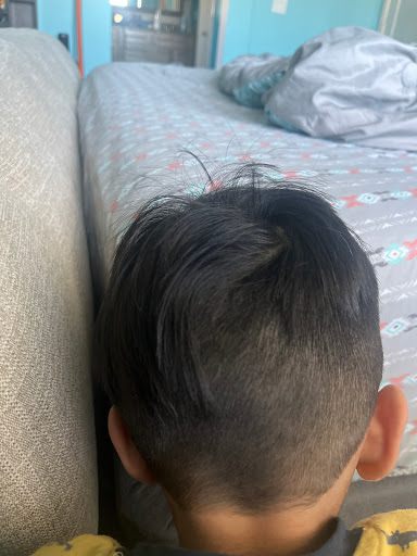 Fun Cuts - Visual