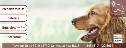 Clínica Veterinaria Madero