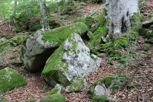 Dolmen de Vacheresse Logo