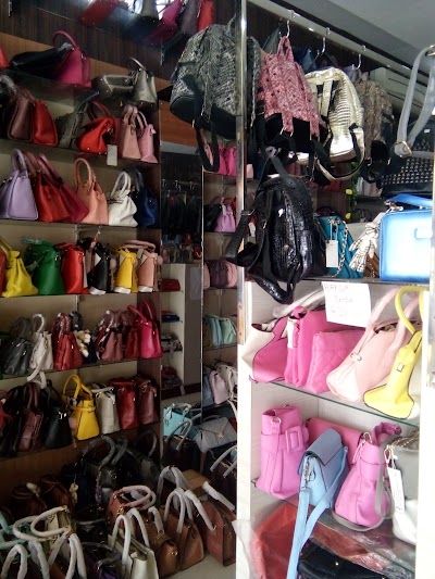 Photos of VIOLA Collection