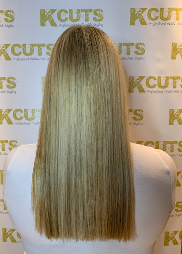 Kcuts11 - Visual
