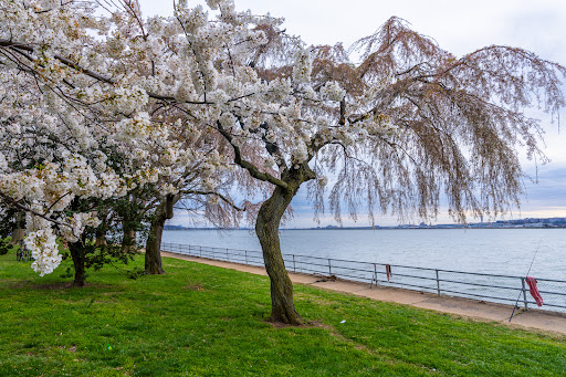 East Potomac Park