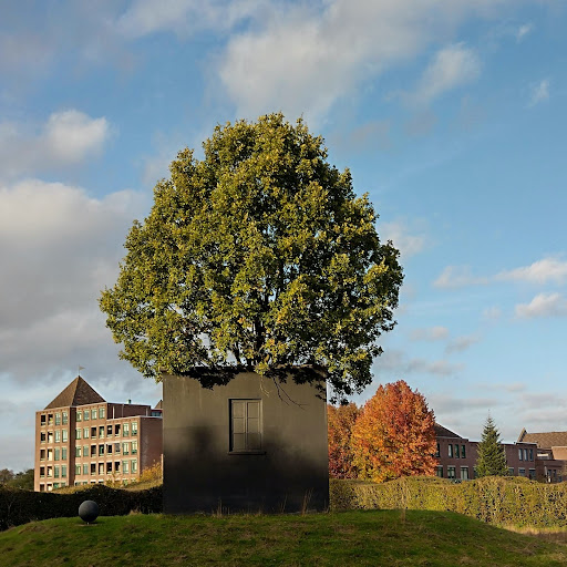 Maanhof - Visual