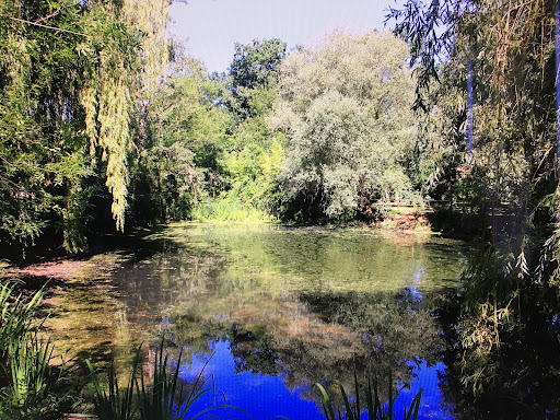Parc De La Cazalère