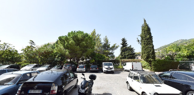Synapseed - CBD / Seed & GrowShop Toulon - Magasin