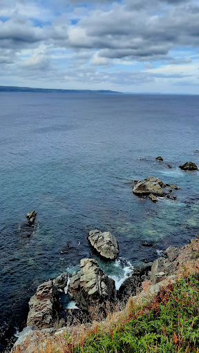 Western Bay Boardwalk - Thumbnail