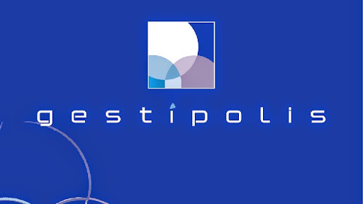 GESTIPOLIS - Visual