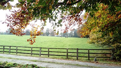 Photos of SuperValu Bagenalstown - Connolly's