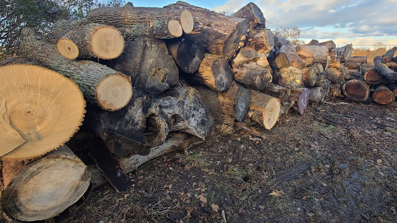 SlabCentral Sawmill work photo 1