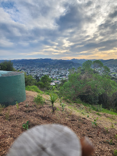 Titirangi Scenic Lookout of Kaiti, Gisborne - Thumbnail