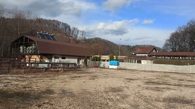 Domeniul Dâmbu Morii