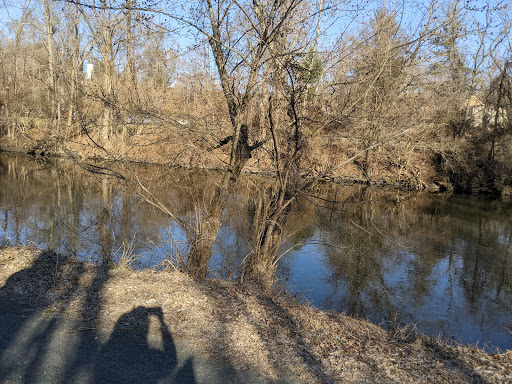 John W. Flemer Preserve - Thumbnail