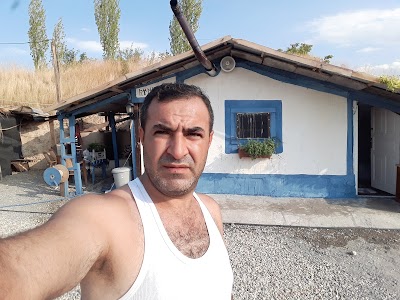 Şahin Çiftliği