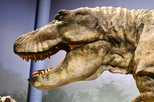 Creation Museum - Visual