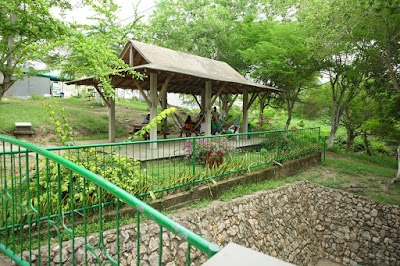 Photos of CECAR