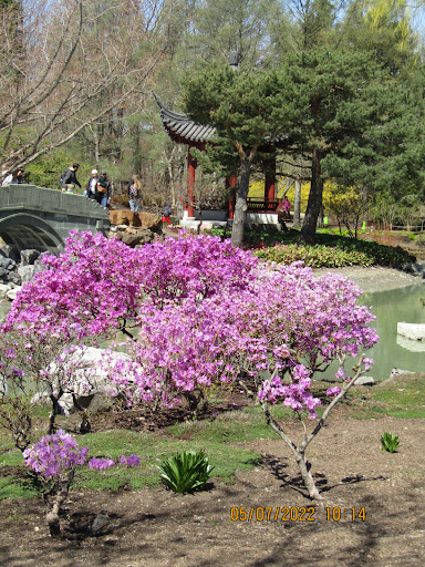 McGill Macdonald Garden - Thumbnail