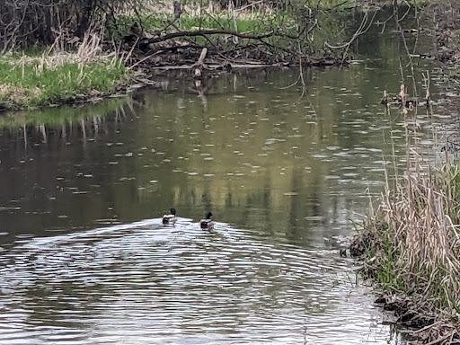 General Mills Nature Preserve - Thumbnail