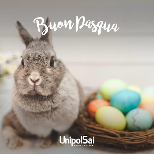 Z.& B.RA. Insurance Assicurazioni UnipolSai - Caldiero - Thumbnail