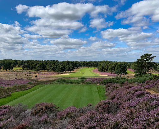Hankley Common Golf Club - United Kingdom