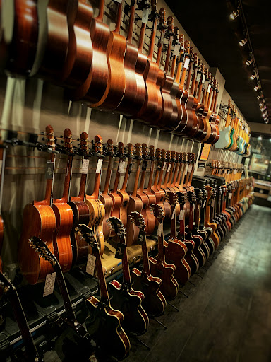 Detroit Guitar Gallery - United States