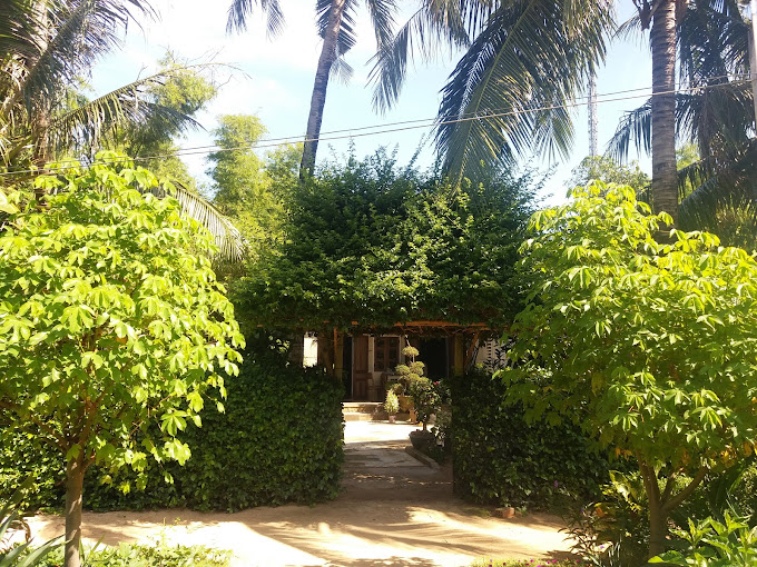 Gà Giống 10 Chương.